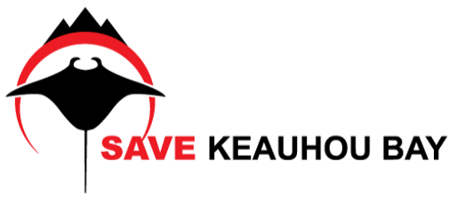 SKB-Logo_edited.png
